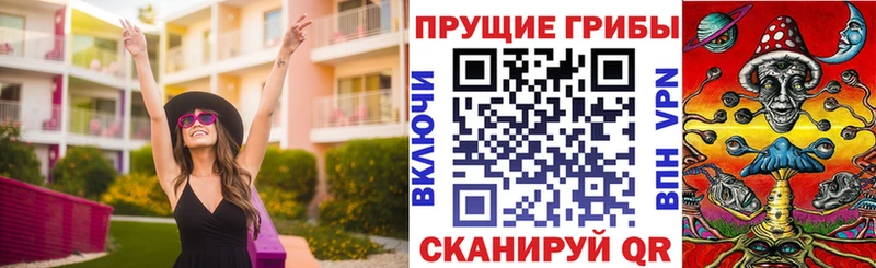 Галлюциногенные грибы мицелий  Купить закладки  Заволжье 